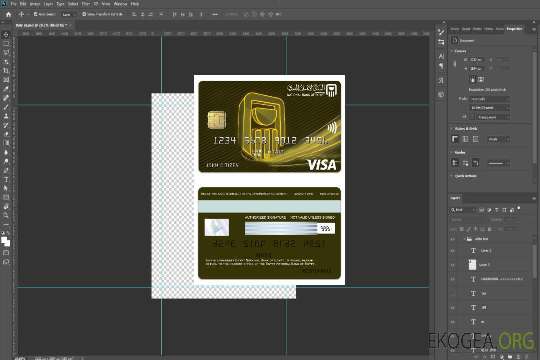 Carte visa or de la Banque nationale d'Égypte d'Égypte template Carte visa or de la Banque nationale d'Égypte d'Égypte template